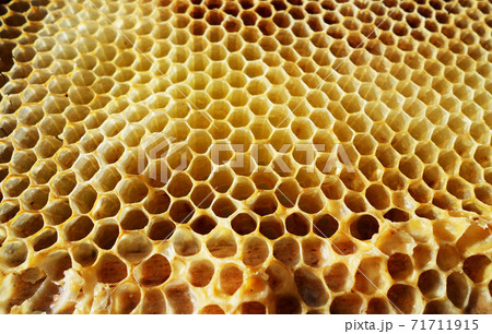 Background hexagon texture, wax honeycomb from a bee hive Background hexagon texture, wax honeycomb from a bee hive 71711915