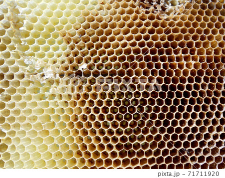 Background hexagon texture, wax honeycomb from a bee hive 71711920