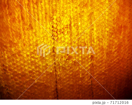 Background hexagon texture, wax honeycomb from a bee hive Background hexagon texture, wax honeycomb from a bee hive 71712016
