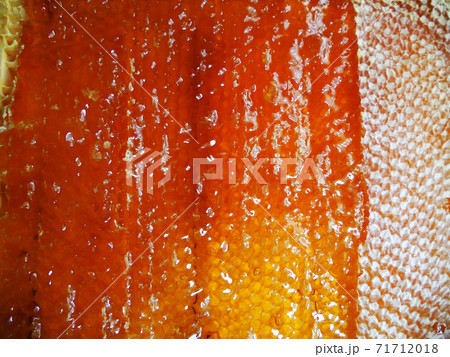 Background hexagon texture, wax honeycomb from a bee hive 71712018
