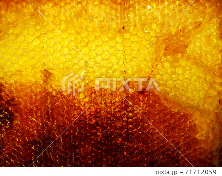 Background hexagon texture, wax honeycomb from a bee hive 71712059