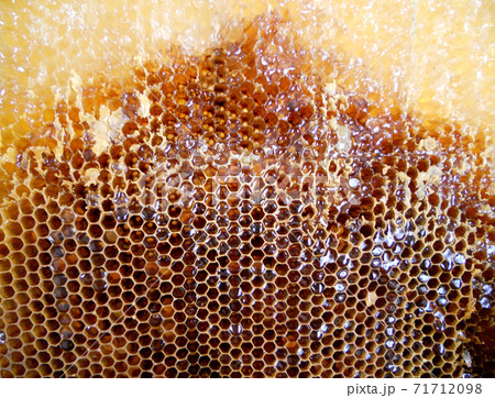 Background hexagon texture, wax honeycomb from a bee hive Background hexagon texture, wax honeycomb from a bee hive 71712098