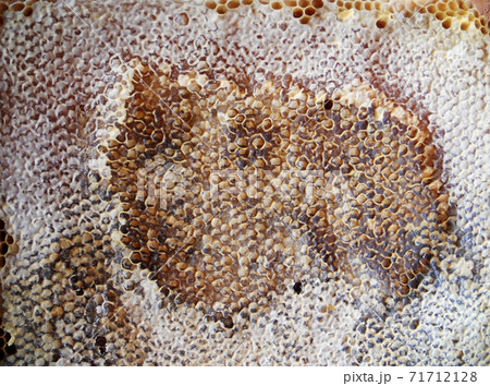 Background hexagon texture, wax honeycomb from a bee hive 71712128