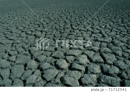 Dry soil 71712541