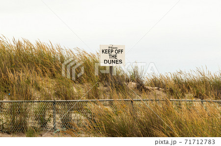 Please keep off the dunes sign surrounded by autumn colored beach grass Please keep off the dunes sign surrounded by autumn colored beach grass 71712783
