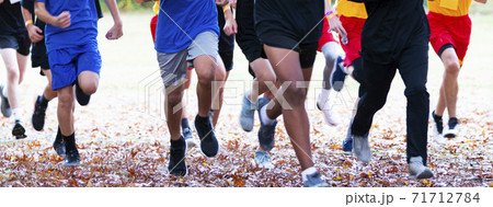 High school boys cross country runners racing on leaves High school boys cross country runners racing on leaves 71712784