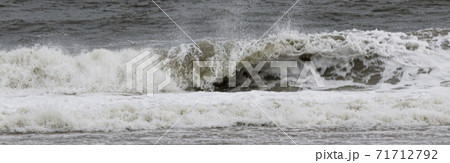 Small wave curling on the shore of field two at Robert Moses State Parks beach Small wave curling on the shore of field two at Robert Moses State Parks beach 71712792