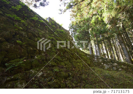 岐阜県恵那市の岩村城跡 岐阜県恵那市の岩村城跡 71713175