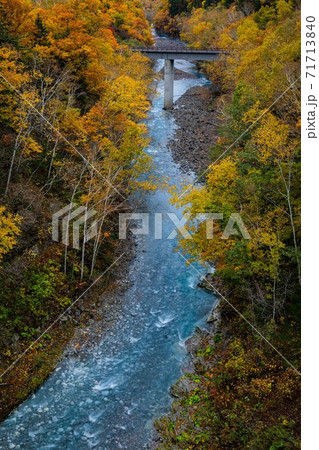 北海道美瑛町 秋のブルーリバーと紅葉 10月 北海道美瑛町 秋のブルーリバーと紅葉 10月 71713840