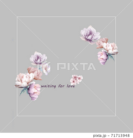 透明水彩 水彩画 花 71713948