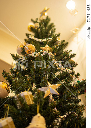 家で奇麗に飾られたクリスマスツリー 日本の写真素材