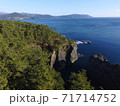 岩手県大船渡市の碁石海岸の空撮 71714752
