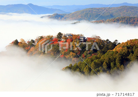 天空の山城4874 天空の山城4874 71714817