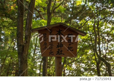 本宮神社参道 日光 秋風景 本宮神社参道 日光 秋風景 71715043