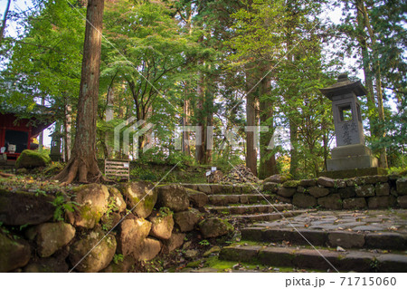 本宮神社境内 日光 秋風景 本宮神社境内 日光 秋風景 71715060