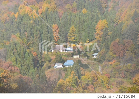 錦秋の森の景色 錦秋の森の景色 71715084
