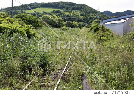 荒れ果てた線路（JR北海道・日高本線・東静内駅） 71715085