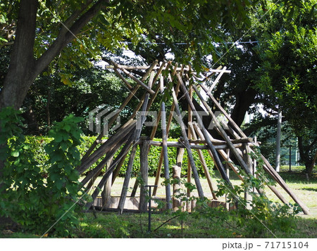 下野谷遺跡公園 下野谷遺跡公園 71715104
