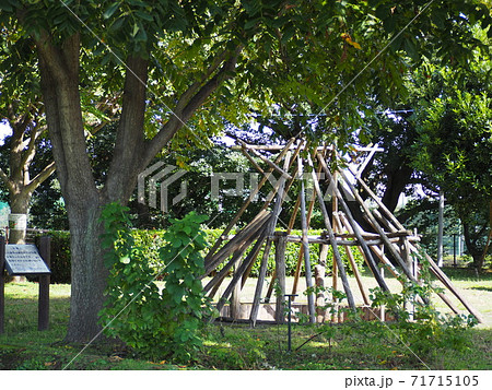 下野谷遺跡公園 71715105