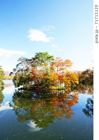 大沼公園の紅葉　黄葉　北海道 71715120