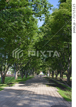 【町田市】鶴間公園 【町田市】鶴間公園 71715125