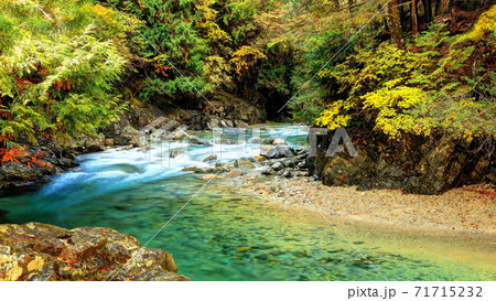 阿寺渓谷の紅葉の写真素材