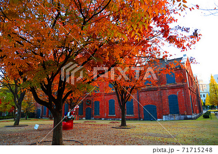 愛知県名古屋市西区のノリタケの森と紅葉の風景、赤レンガ、紅葉、街並み【11月】 愛知県名古屋市西区のノリタケの森と紅葉の風景、赤レンガ、紅葉、街並み【11月】 71715248