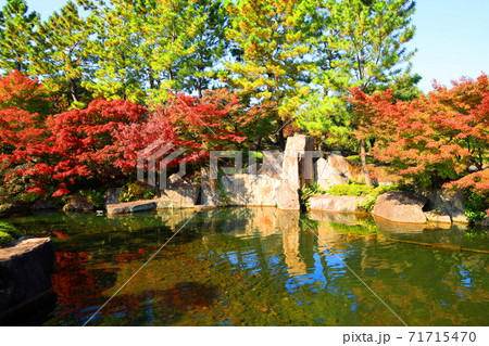 愛知県名古屋市の徳川園と紅葉の風景 庭園 紅葉 季節 11月 の写真素材