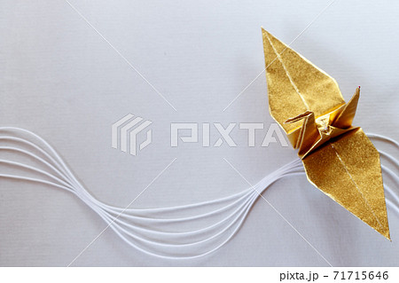 白を背景に水引と金色の折鶴 71715646
