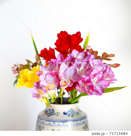 フリージアの花束の写真素材