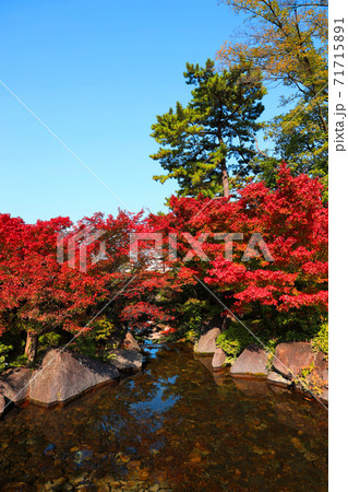 愛知県名古屋市の徳川園と紅葉の風景 庭園 紅葉 季節 11月 の写真素材