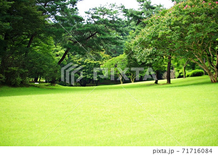 ガーデン 庭園 公園 71716084