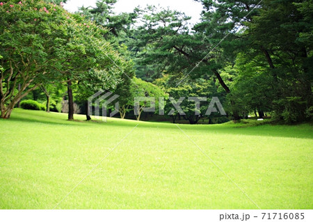 ガーデン 庭園 観光 71716085