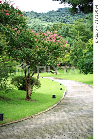 ガーデン 庭園 公園 71716094