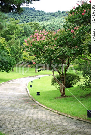 ガーデン 庭園 公園 71716095