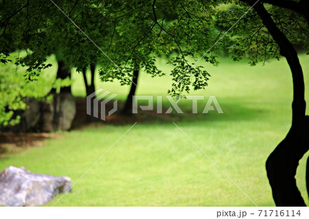 ガーデン 庭園 公園 71716114