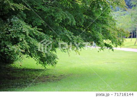 ガーデン 庭園 公園 71716144