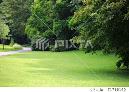 ガーデン 庭園 公園 71716149