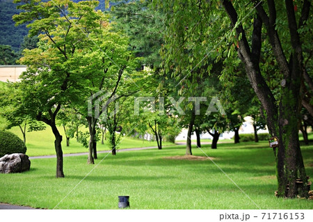 ガーデン 庭園 公園 71716153