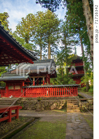 本宮神社 本殿 桜門 日光 秋風景 本宮神社 本殿 桜門 日光 秋風景 71716342