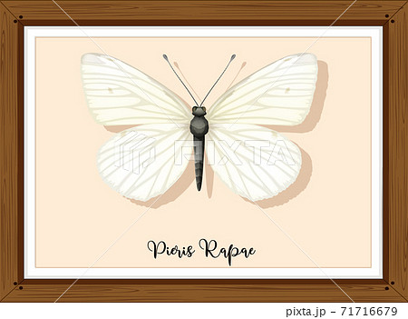 Printのイラスト素材