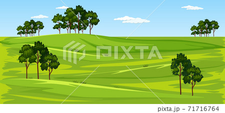 Blank green meadow nature landscape scene 71716764