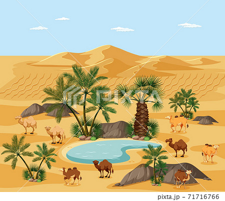 Desert Oasis With Palms Nature Landscape Sceneのイラスト素材