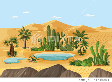 Desert oasis with palms and cactus nature landscape scene Desert oasis with palms and cactus nature landscape scene 71716803