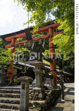 奥嵯峨の春 71717081