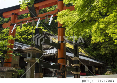 奥嵯峨の春 奥嵯峨の春 71717083