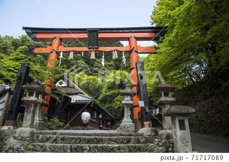 奥嵯峨の春 71717089