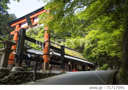 奥嵯峨の春 71717091