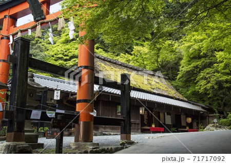 奥嵯峨の春 71717092