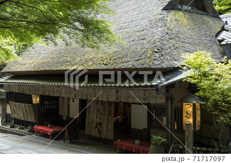 奥嵯峨の春 奥嵯峨の春 71717097